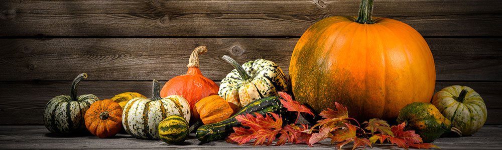 thanksgiving thanksgiving